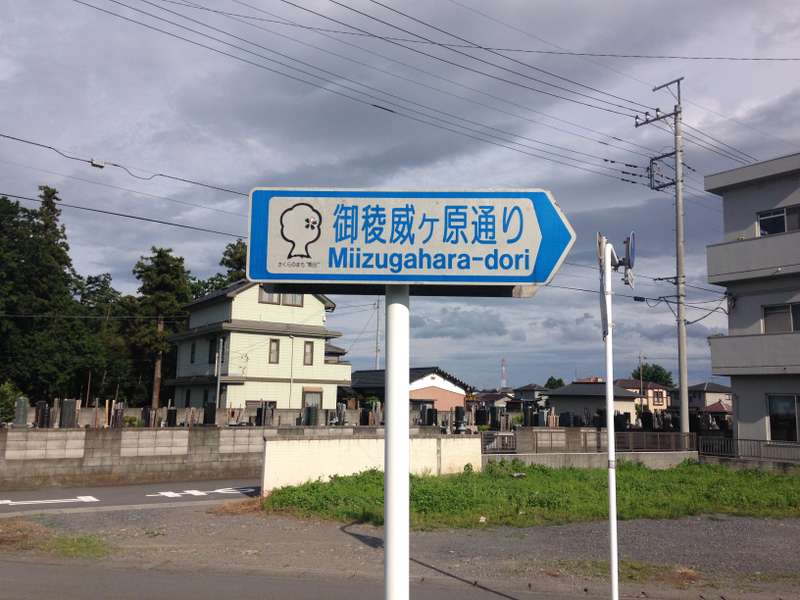 Illustration for article titled Here's What You'll Actually See When Driving Around Japan
